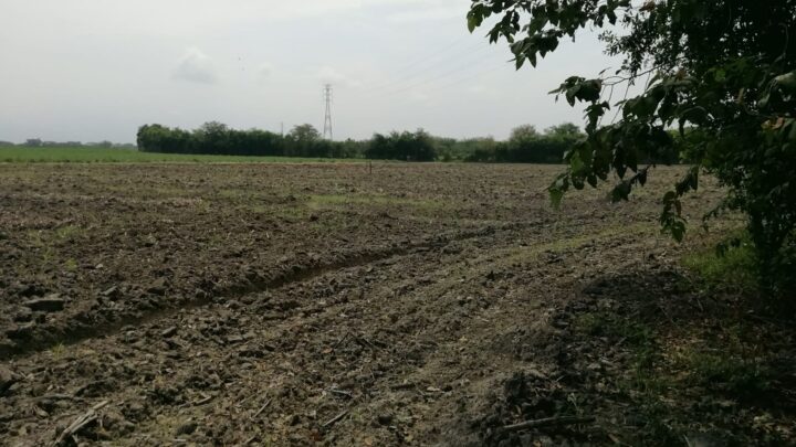WhatsApp Image 2026-05-05 at 8.52.24 AM